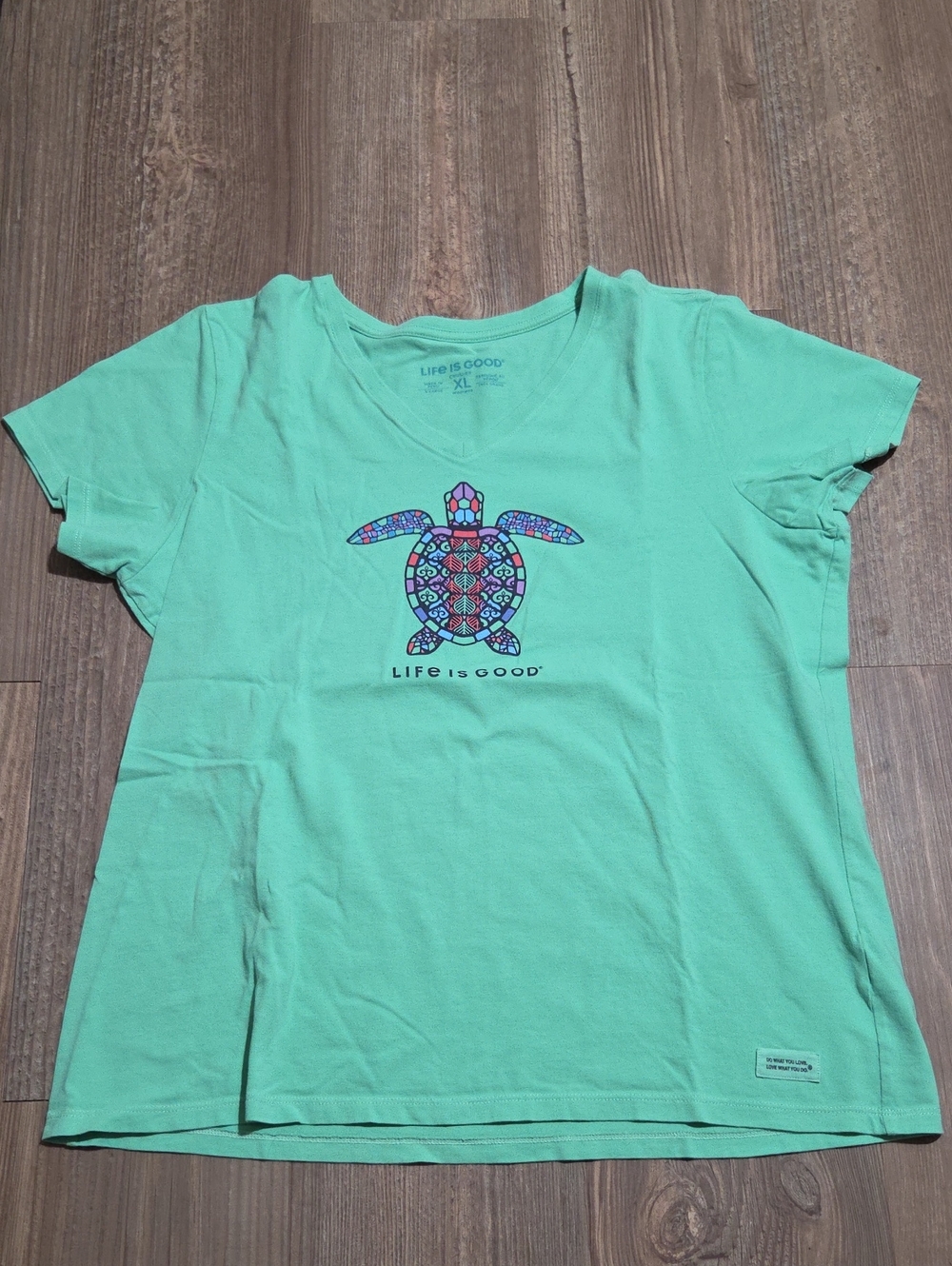 Life is Good Mint Green Turtle Graphic Tee